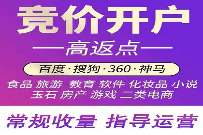 SEM专员案例深度解读